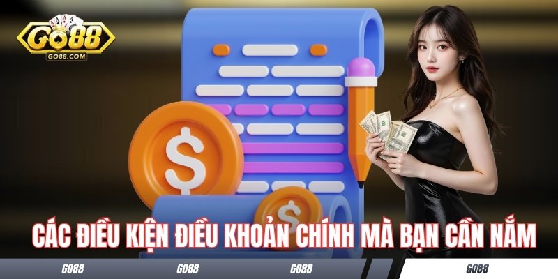 Các điều kiện điều khoản chính mà bạn cần nắm